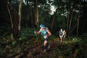 BIB: 
                            <button type="button" onclick="openModal(22425237)" class="btn btn-primary btn-sm float-right btn-popup" data-toggle="modal" data-target=".modal-high-quality">
                        <i class="fas fa-shopping-cart"></i> Add to Cart
                    </button>
                                            <button type="button" onclick="isThisMe(22425237, true)" class="btn btn-success btn-sm float-right btn-popup btn-isme hidden" data-toggle="tooltip" data-placement="bottom" title="นี่คือรูปของคุณใช่ไหม คลิกที่นี่เพื่อเอาเข้าอัลบั้ม">
                        <i class="fas fa-plus"></i> Add to album
                    </button>
                    <button type="button" onclick="isThisMe(22425237, false)" class="btn btn-warning btn-sm float-right btn-popup btn-isnotme hidden">
                        <i class="fas fa-ban"></i> Remove from album
                    </button>